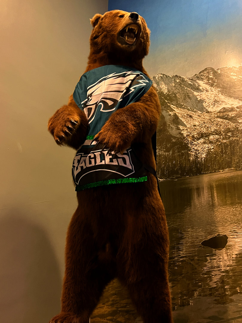 Brown Bear - Fly Eagles Fly!