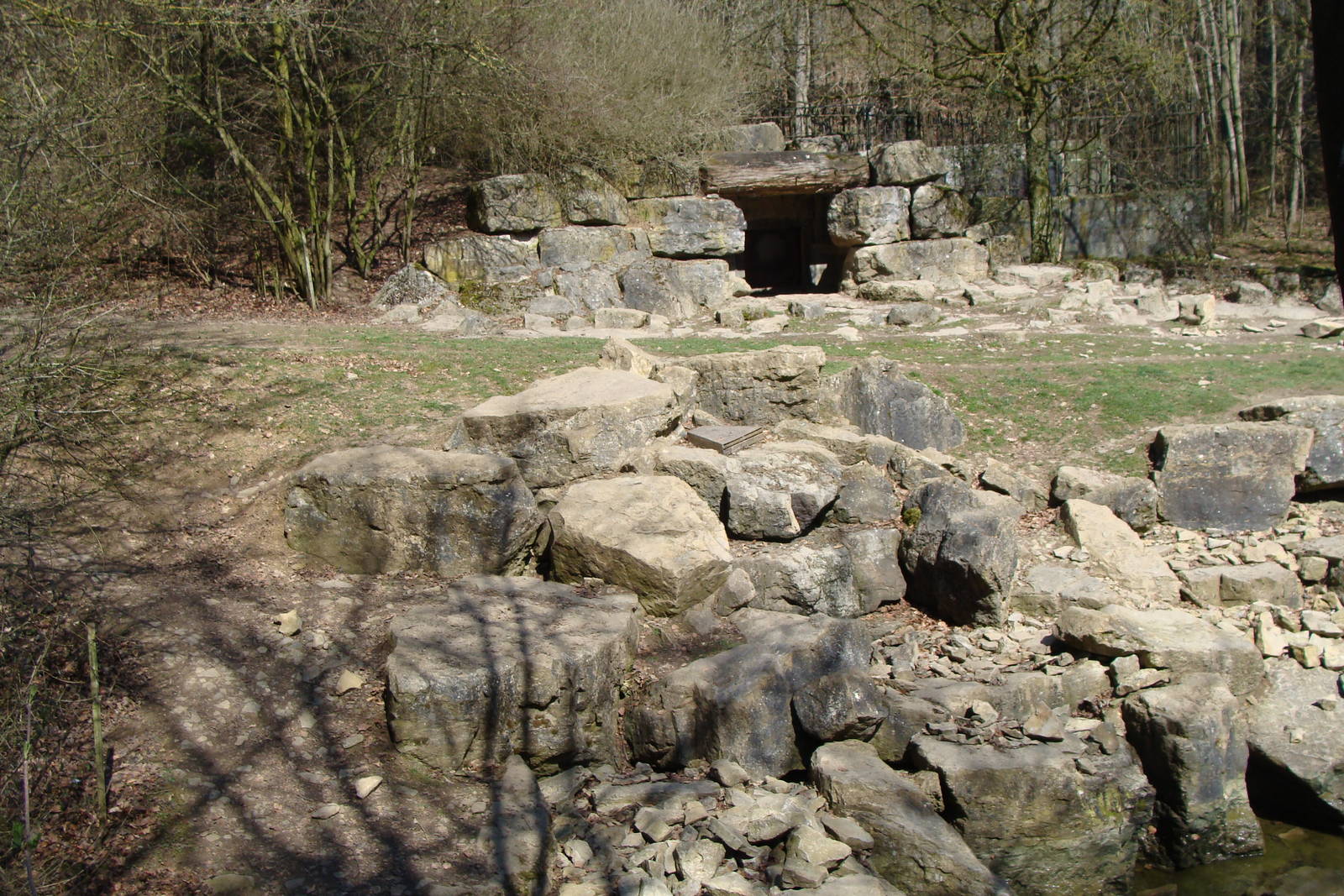 Brown bear/Fox exhibit