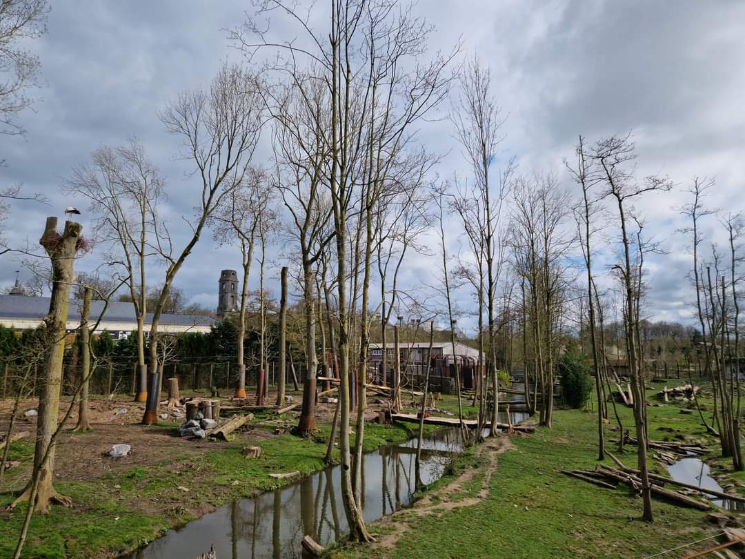 Brown Bear/Grey Wolf exhibit