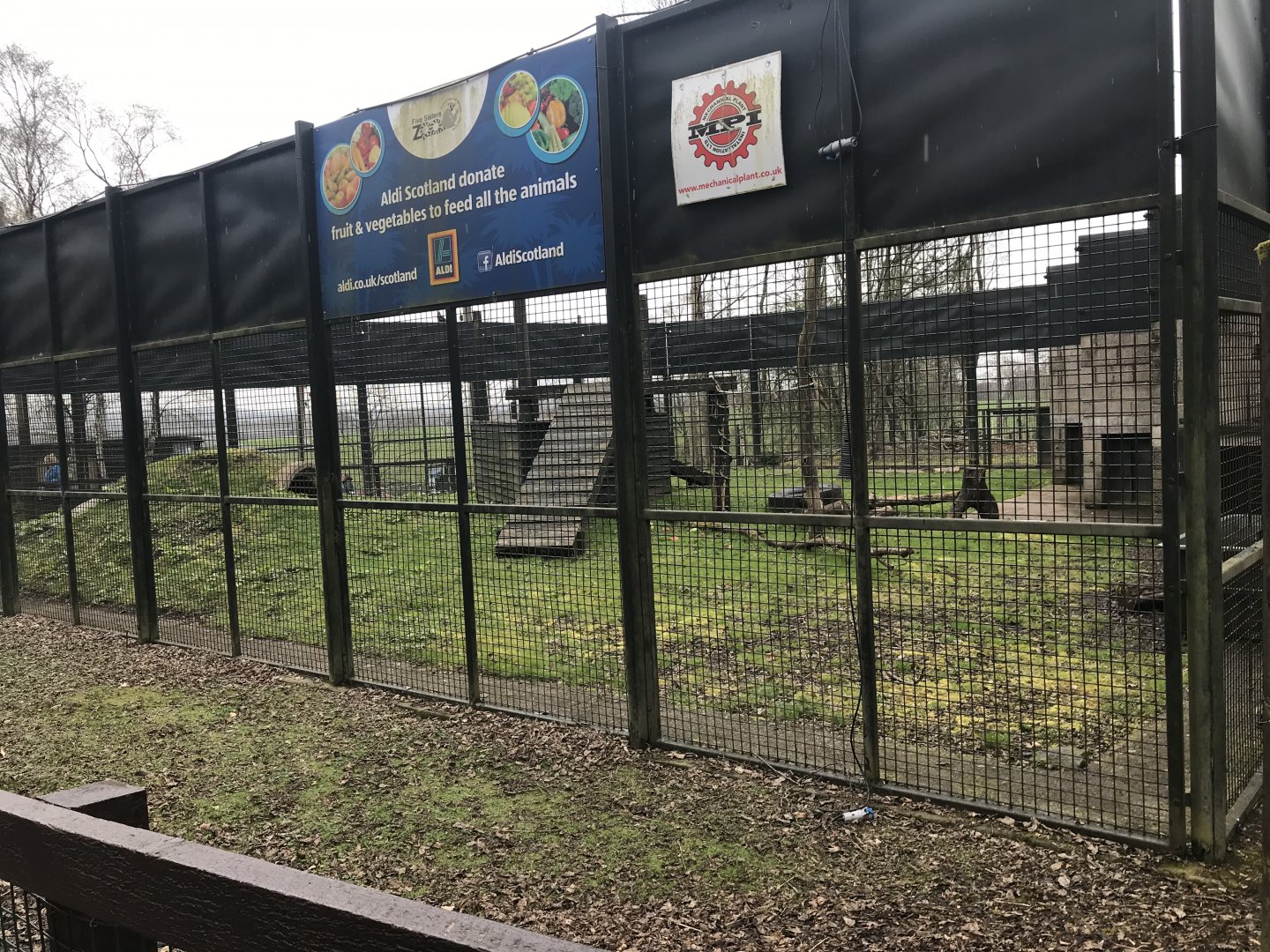 Brown bear holding area (2)