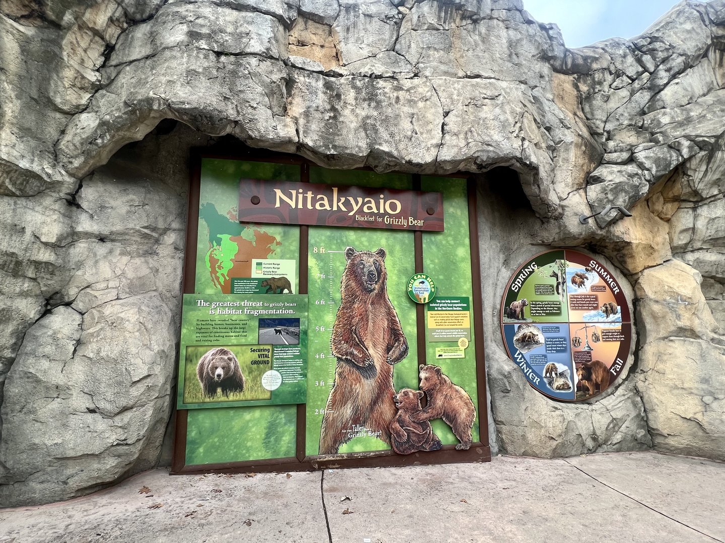 Brown Bear Information Sign