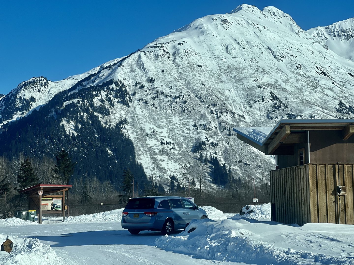 Brown Bear Parking Area