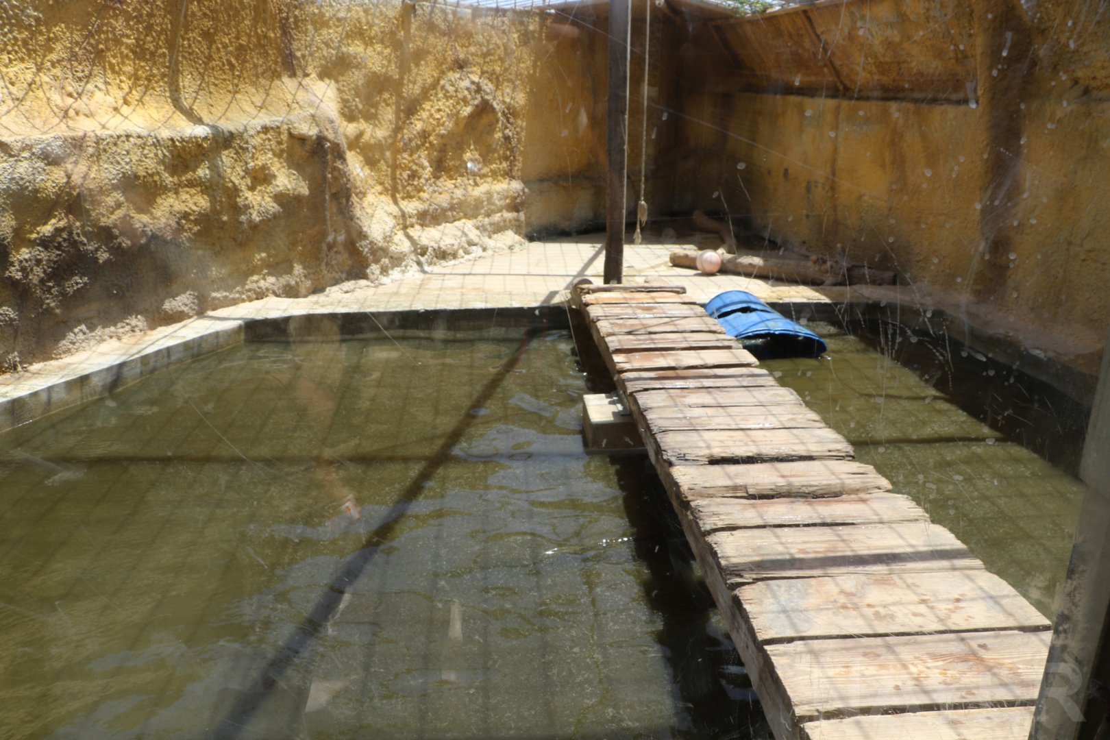 Brown bear pool - Wildlife Park Malta, June 2019
