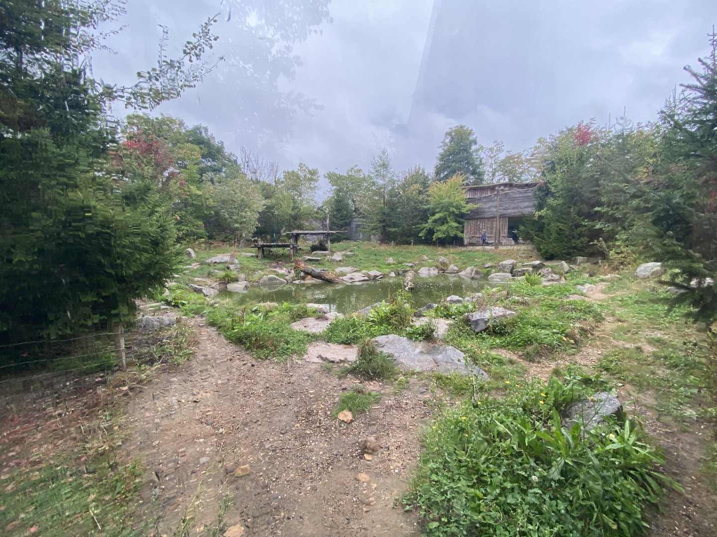 Brown bear second exhibit