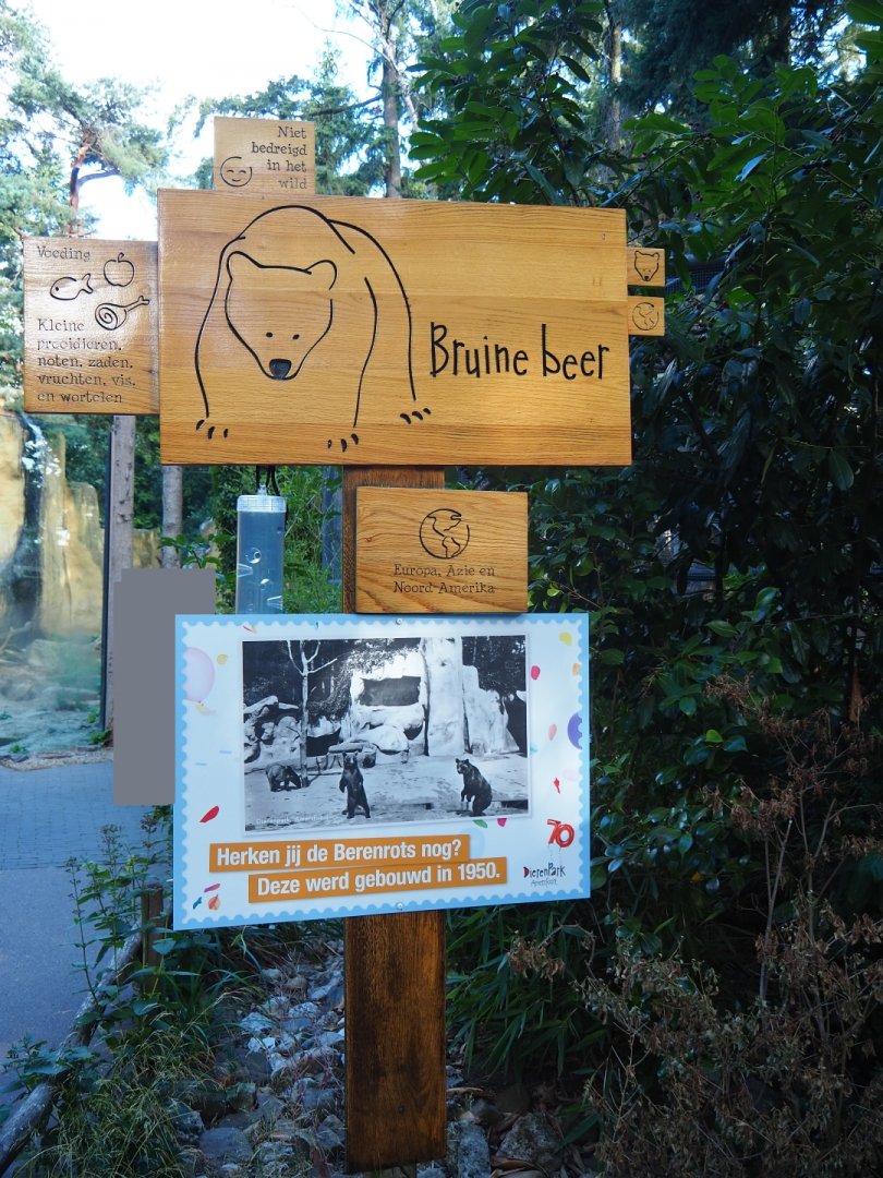 Brown bear signs