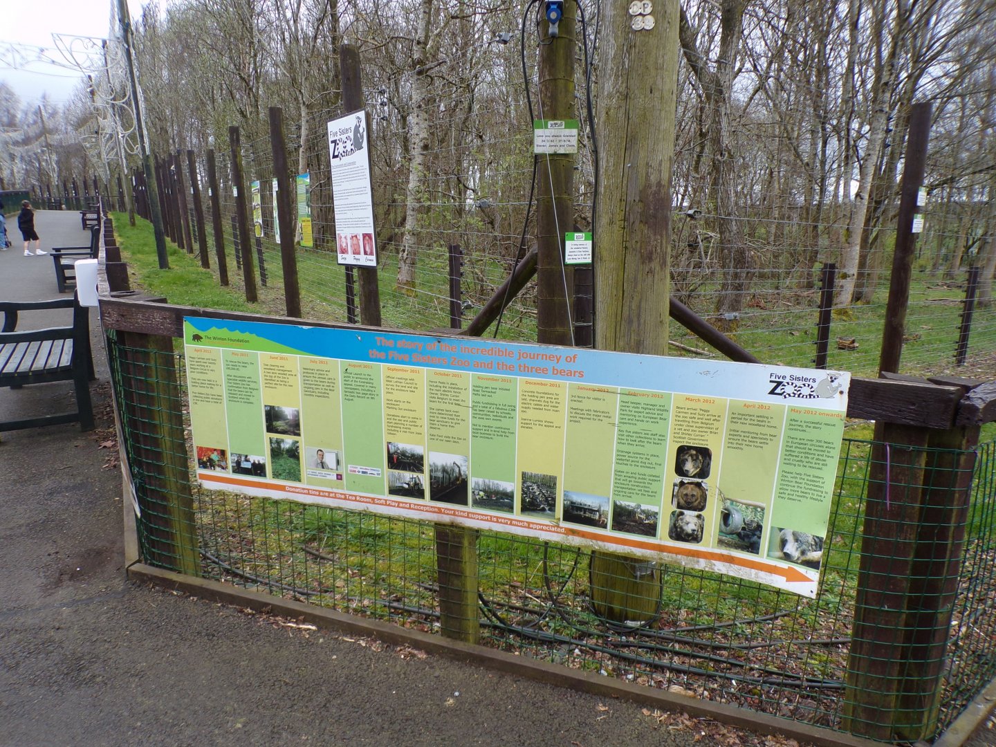 Brown bears at the zoo timeline 12.4.24