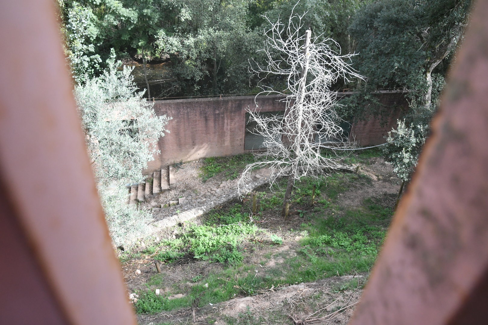 Brown Bears exhibit (view through the railings at the top of the enclosure)
