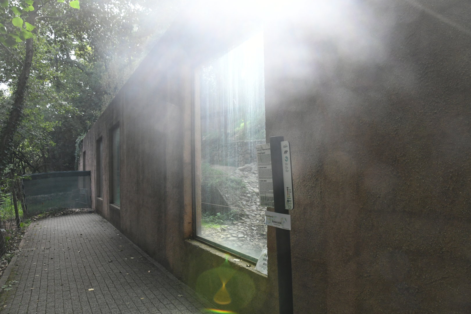 Brown Bears exhibit (viewing windows)
