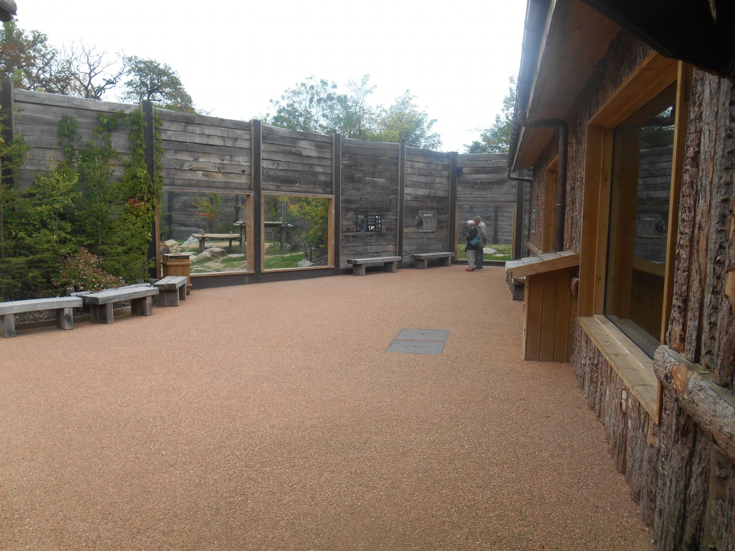 Brown Bears Viewing Area