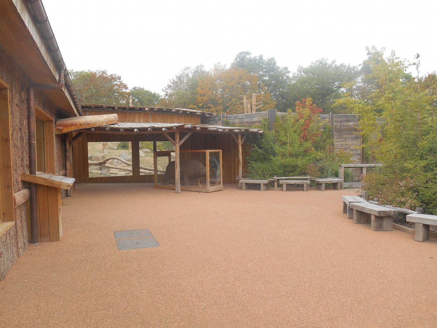 Brown Bears Viewing Area