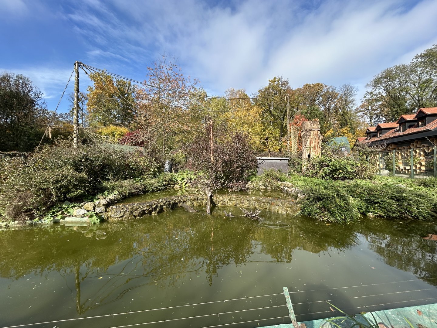Brown Capuchin & Coati Exhibit