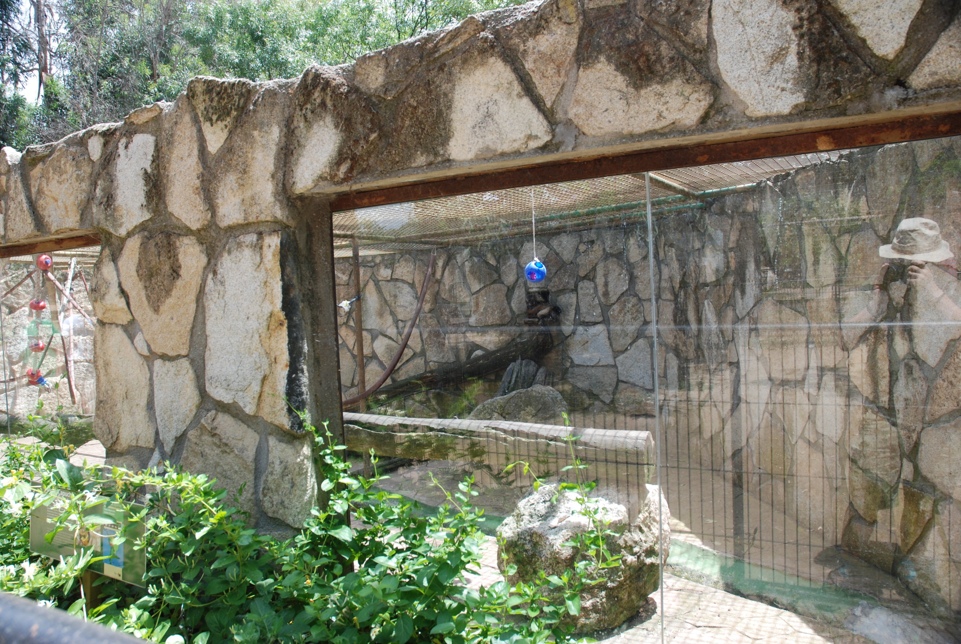 Brown Capuchin Enclosure at Safari Madrid, 19th May 2022