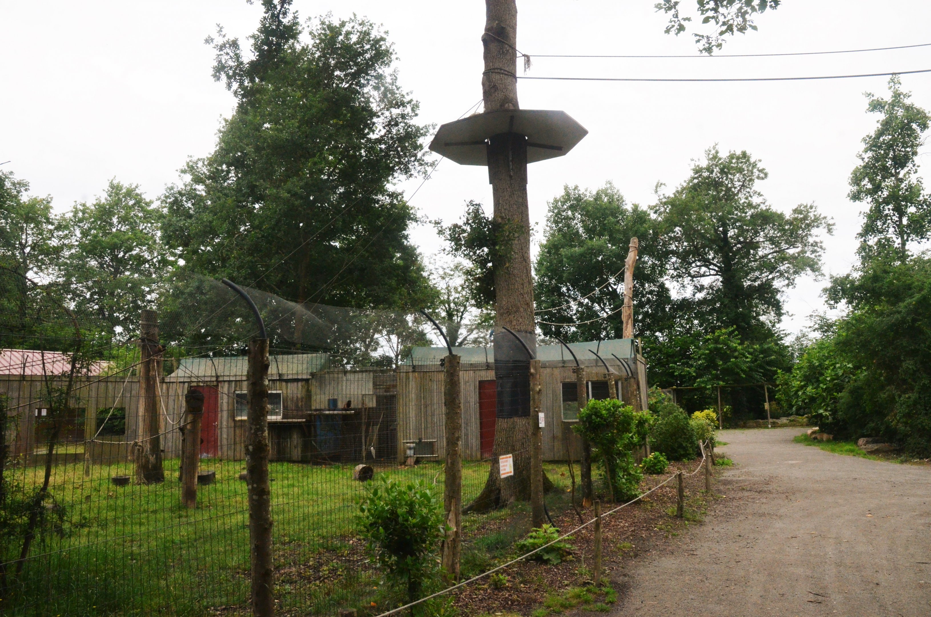 Brown Capuchin Enclosure at Spaycific'Zoo, 13/06/18