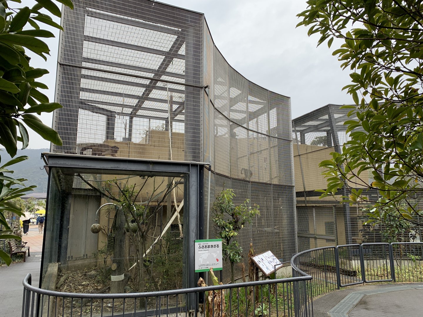Brown Capuchin Enclosure