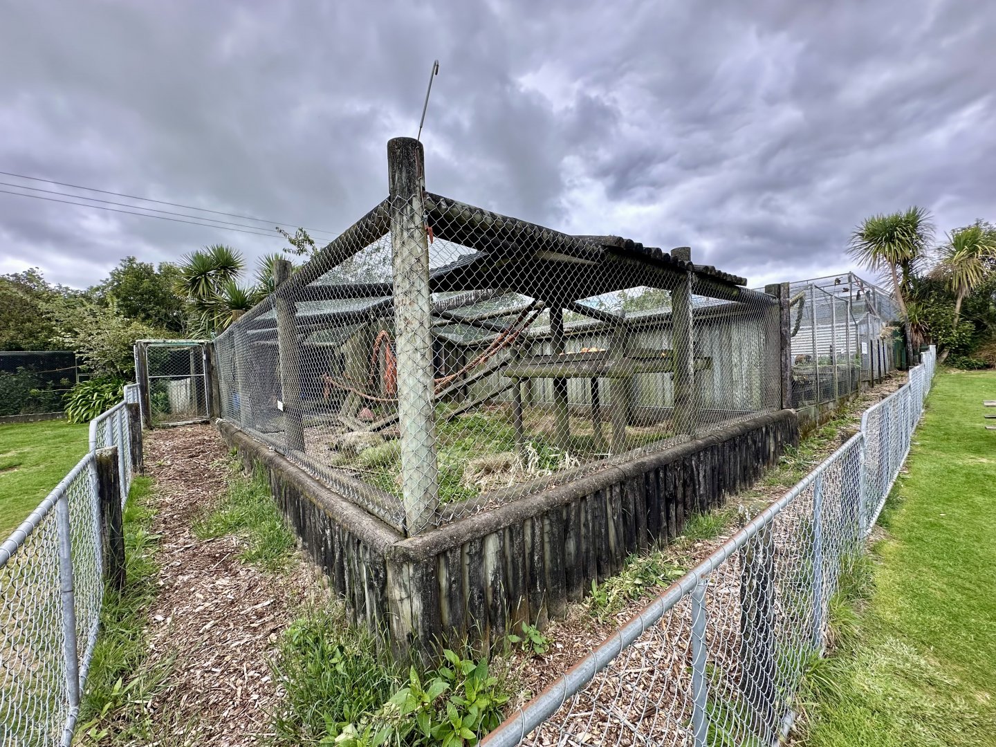 Brown Capuchin Exhibit 1