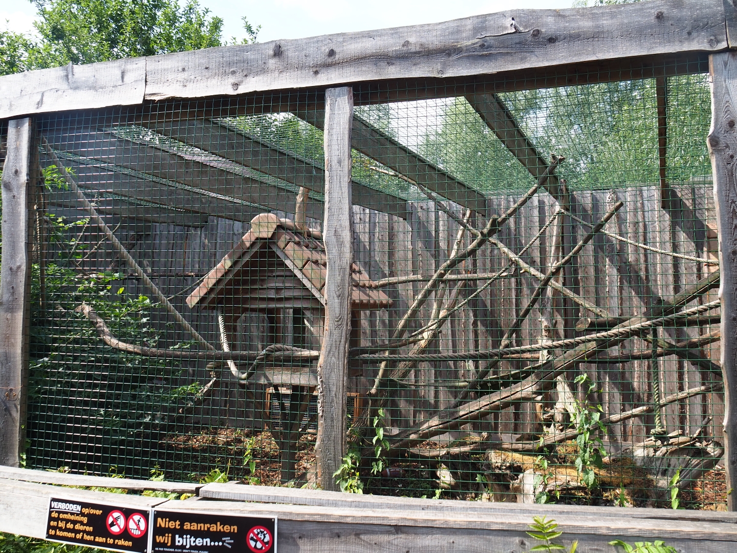 Brown capuchin exhibit 2