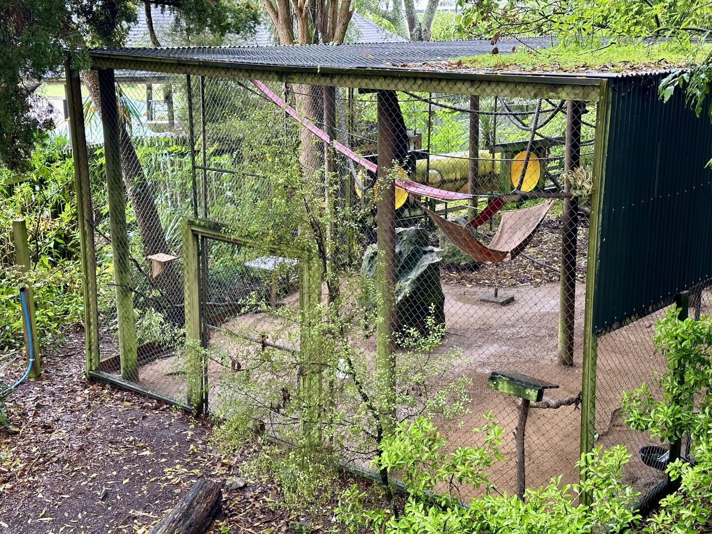 Brown Capuchin Exhibit Annex