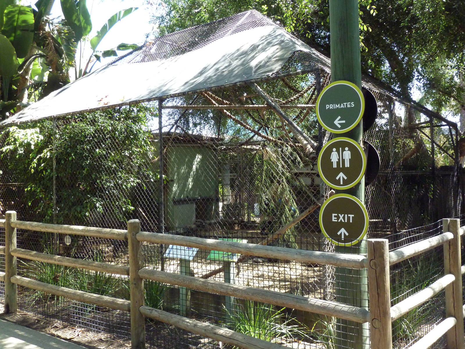 Brown Capuchin Exhibit