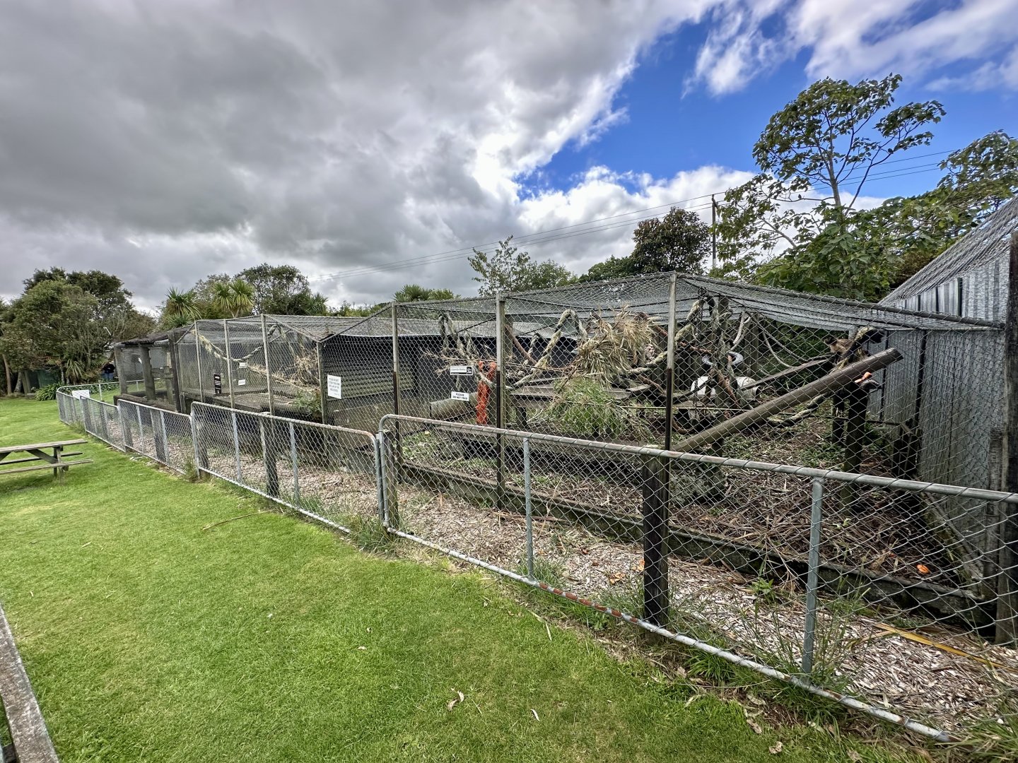 Brown Capuchin Exhibits