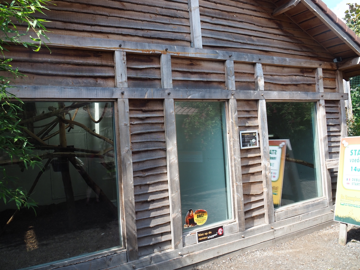 Brown capuchin house