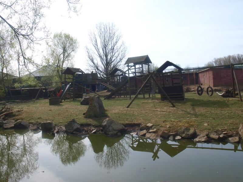 Brown capuchin island (April 19th, 2015)