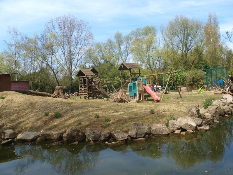 Brown capuchin island (April 19th, 2015)