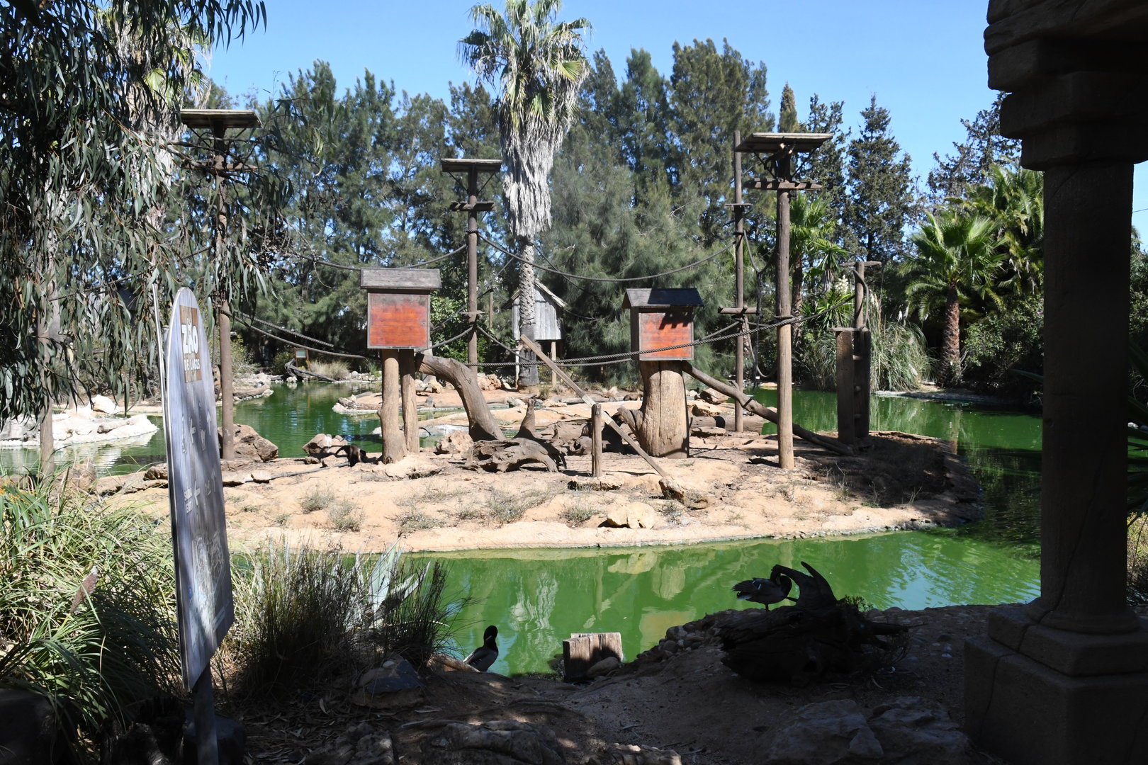 Brown Capuchin Islands