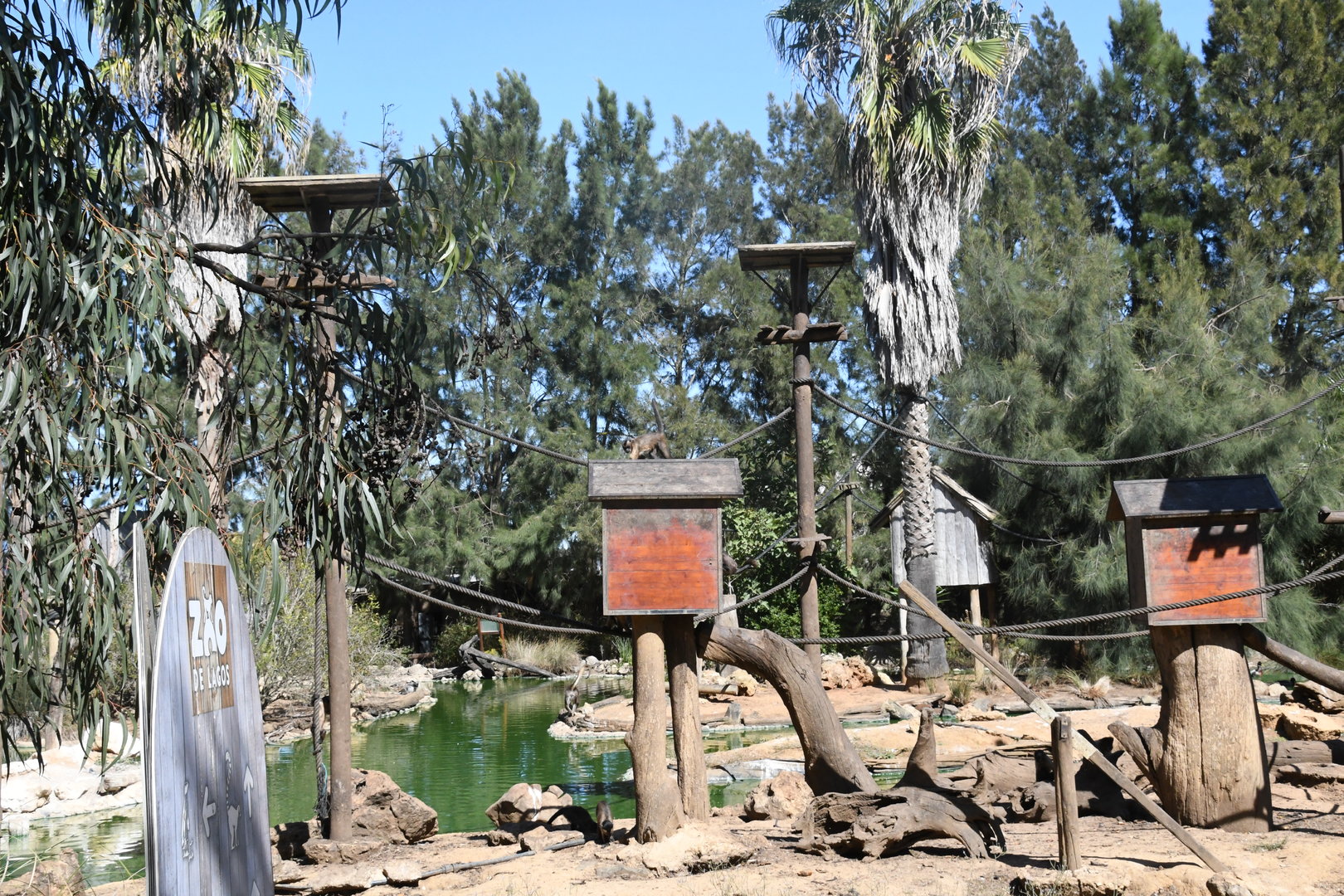 Brown Capuchin Islands