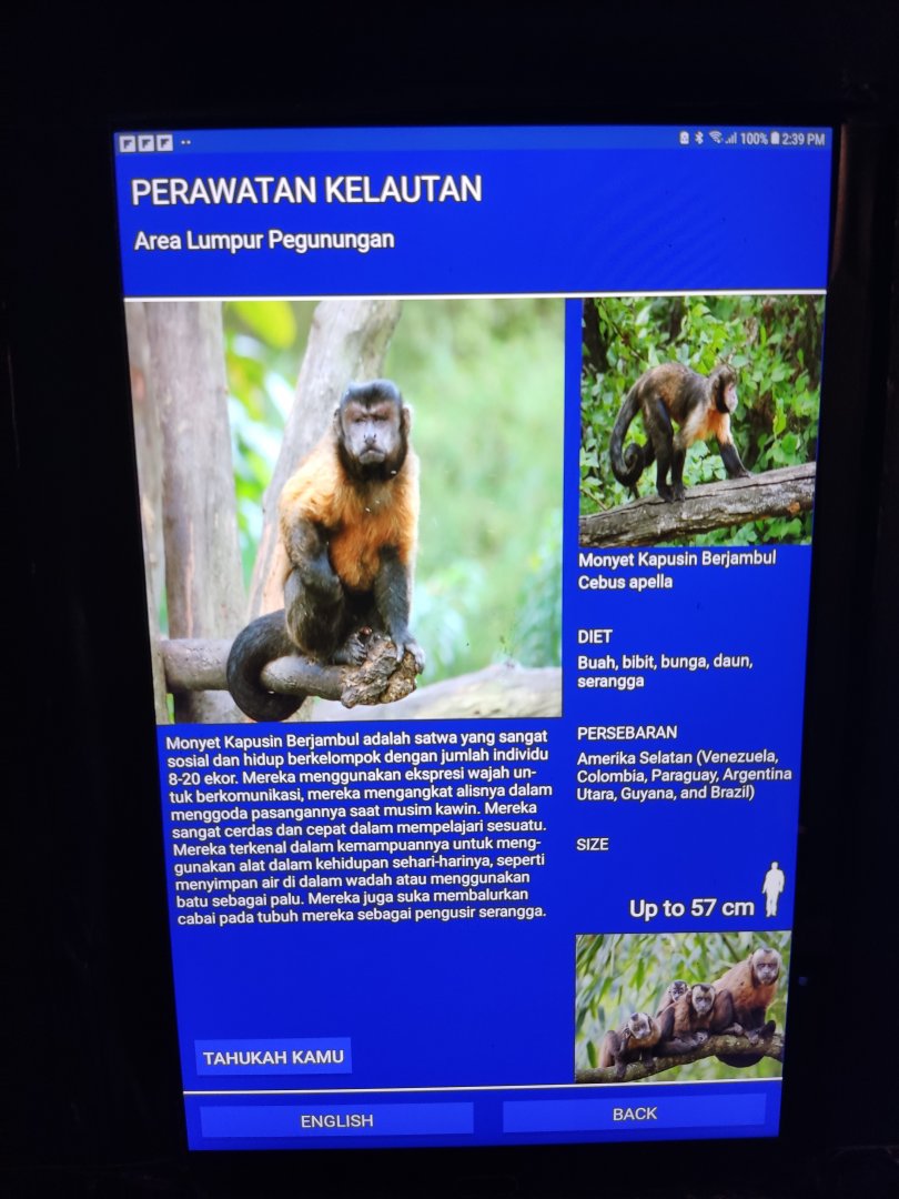 Brown capuchin monkey signage
