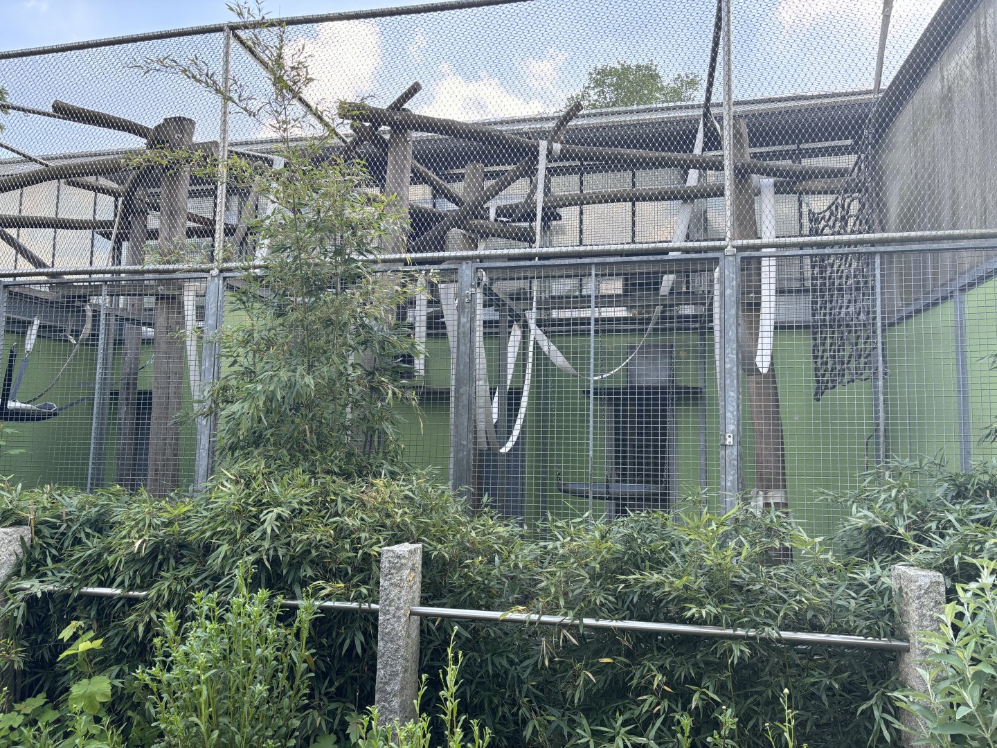 Brown Capuchin Outdoor Enclosure