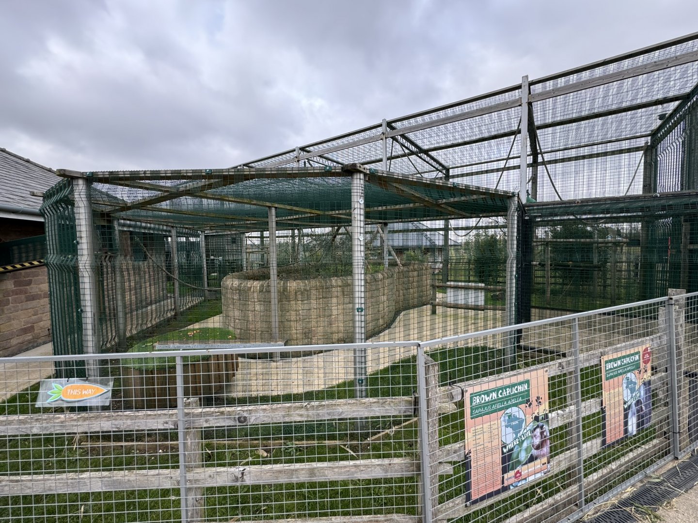 Brown Capuchin Walkthrough Enclosure at Wolds Wildlife Park (March 2024)