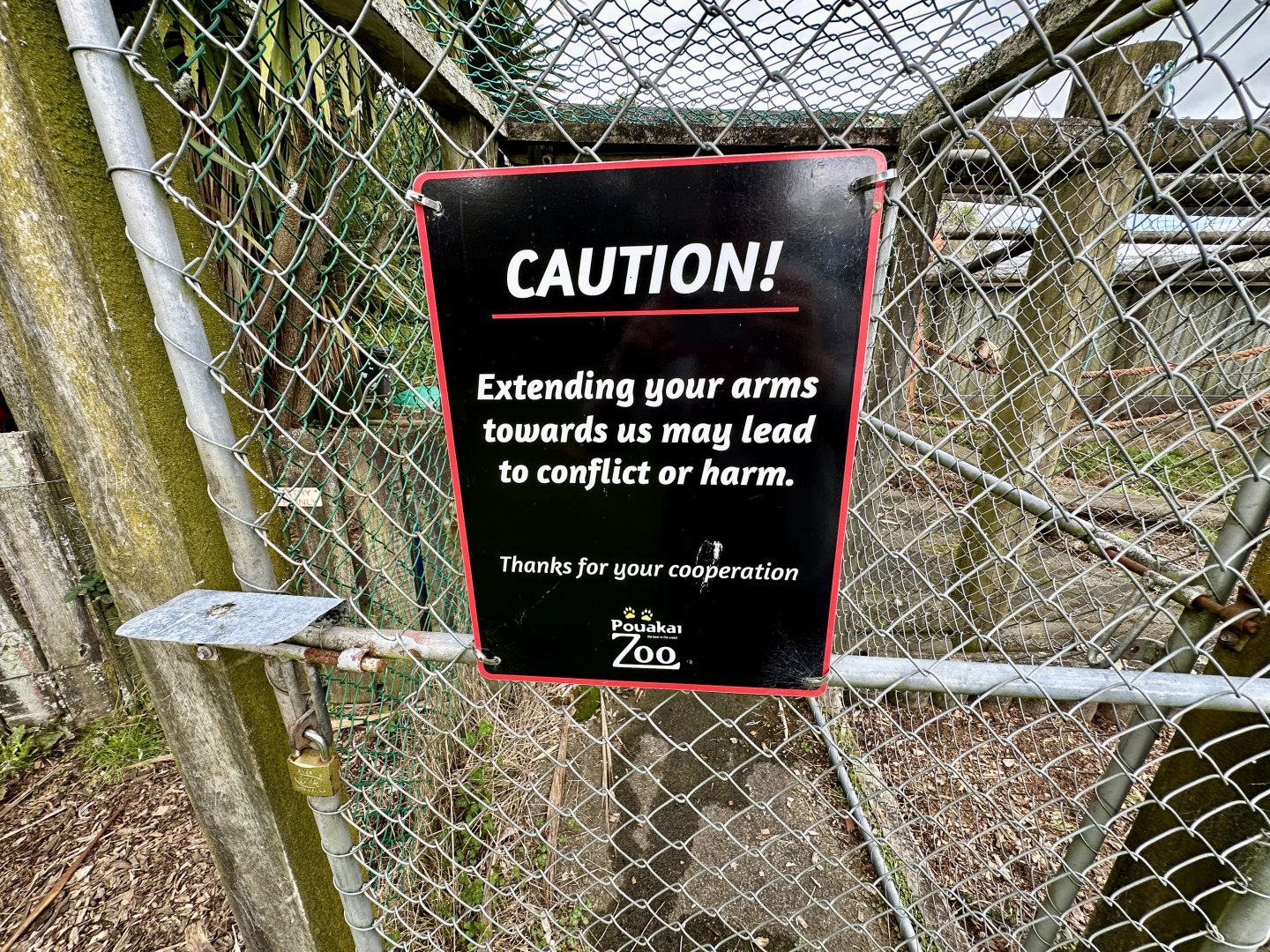 Brown Capuchin Warning Sign