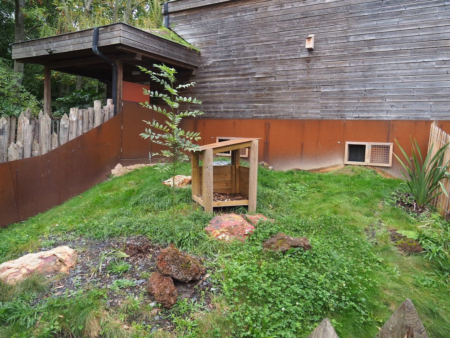 Brown Dorcopsis exhibit, 2023-10-13