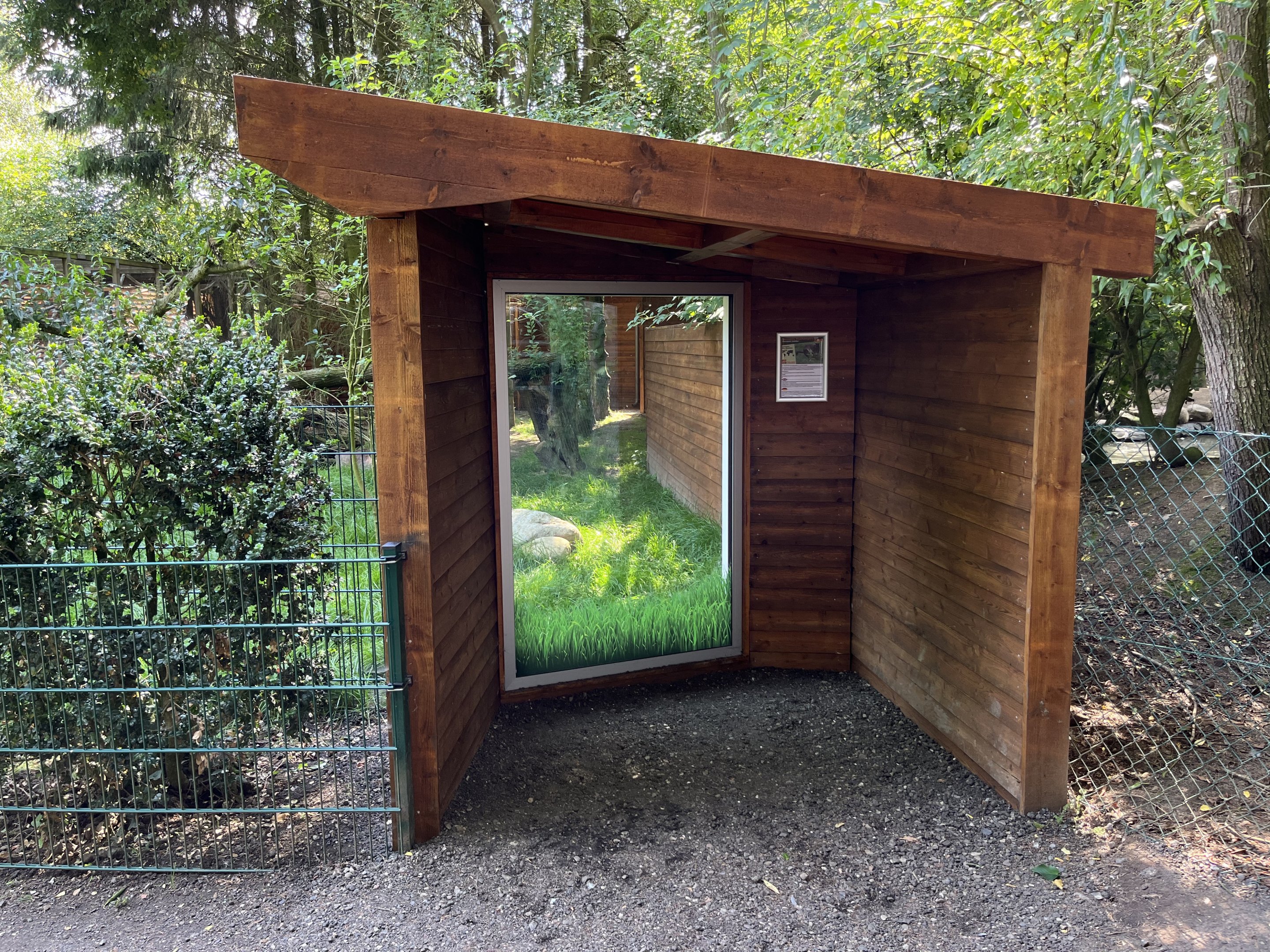 Brown Dorcopsis Exhibit