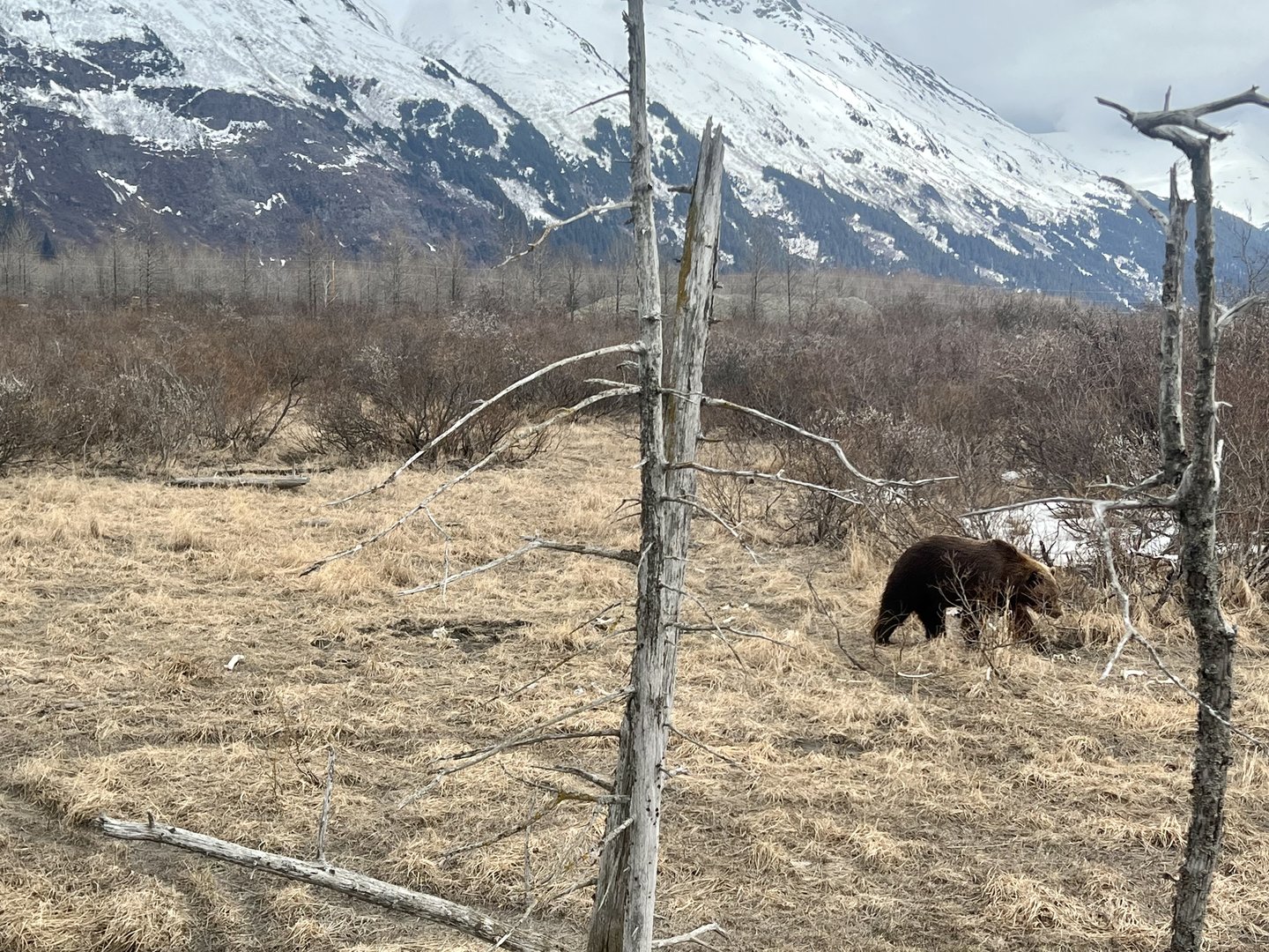 Brown Exhibit with a sense of scale