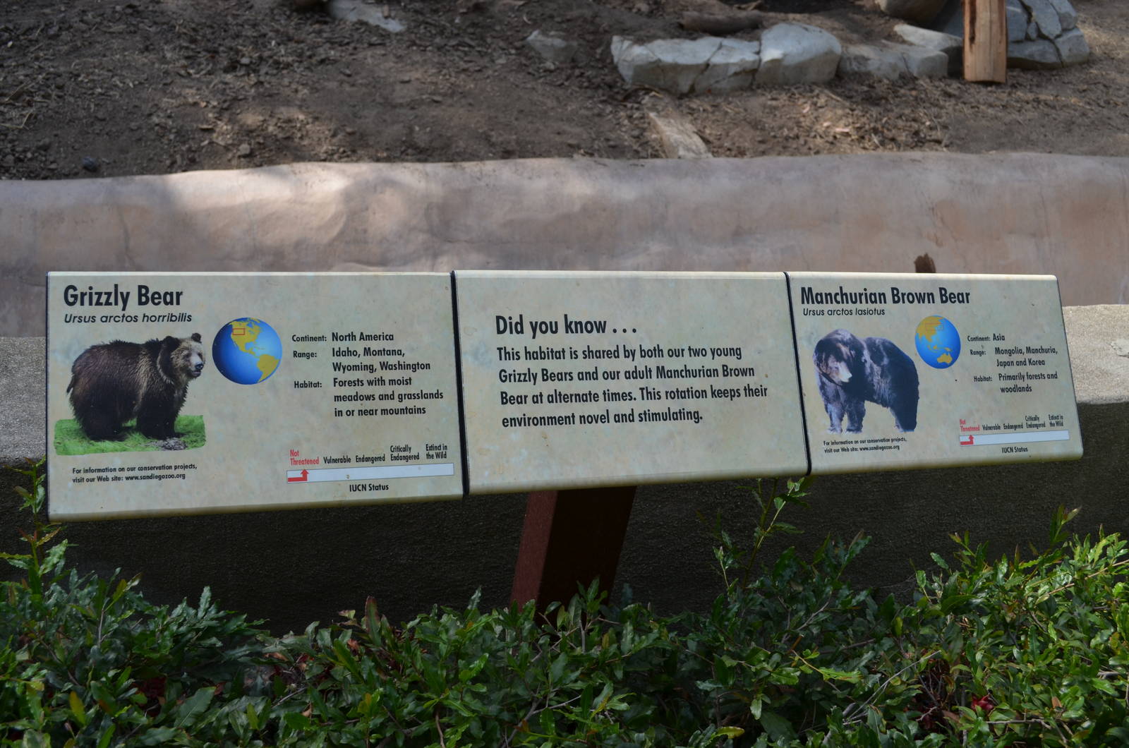 Brown/Grizzly Bear Signage