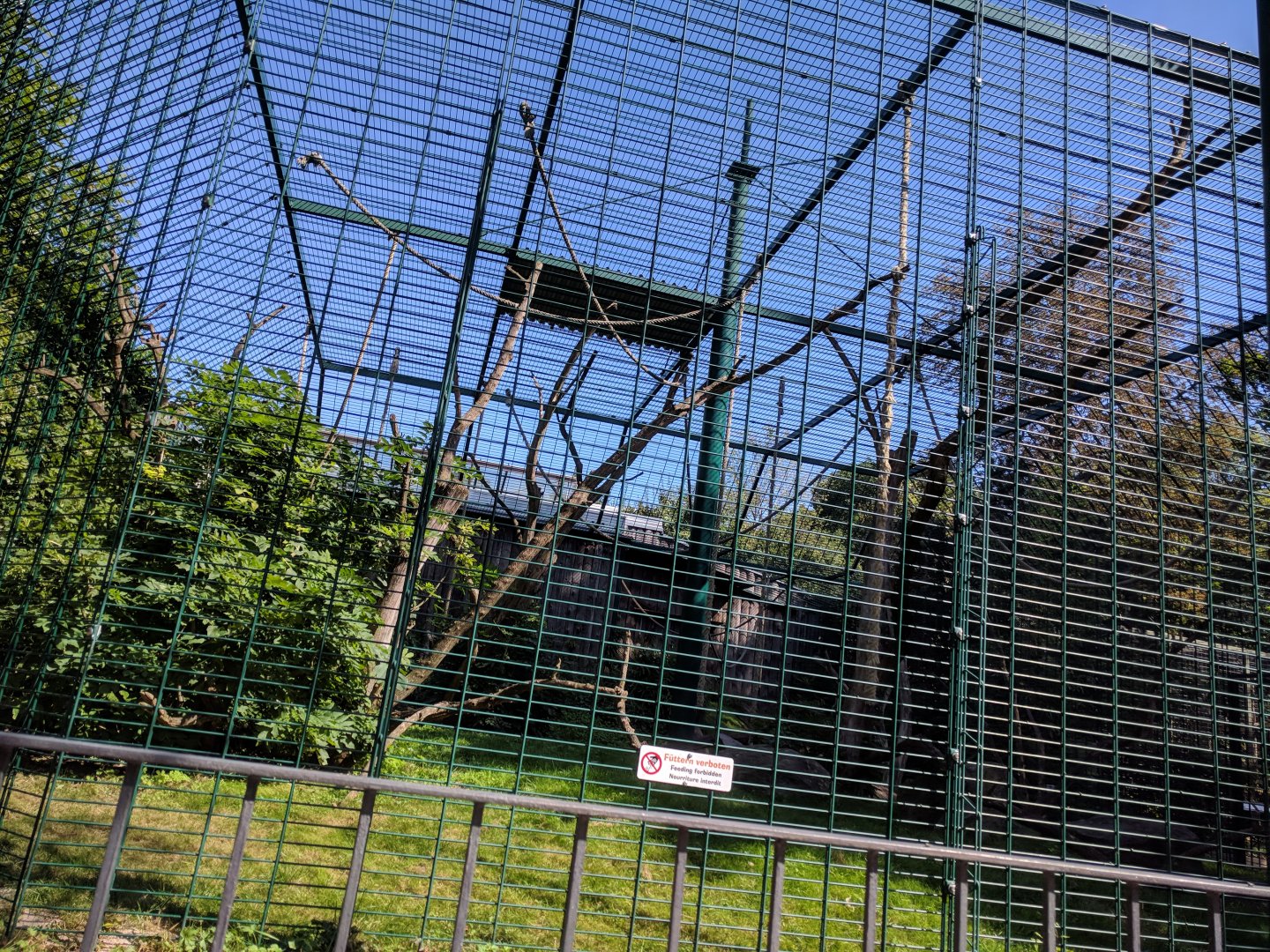 Brown headed Spider Monkey Enclosure