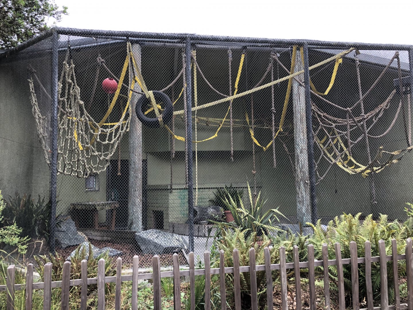 Brown-headed spider monkey exhibit (1 of 2)