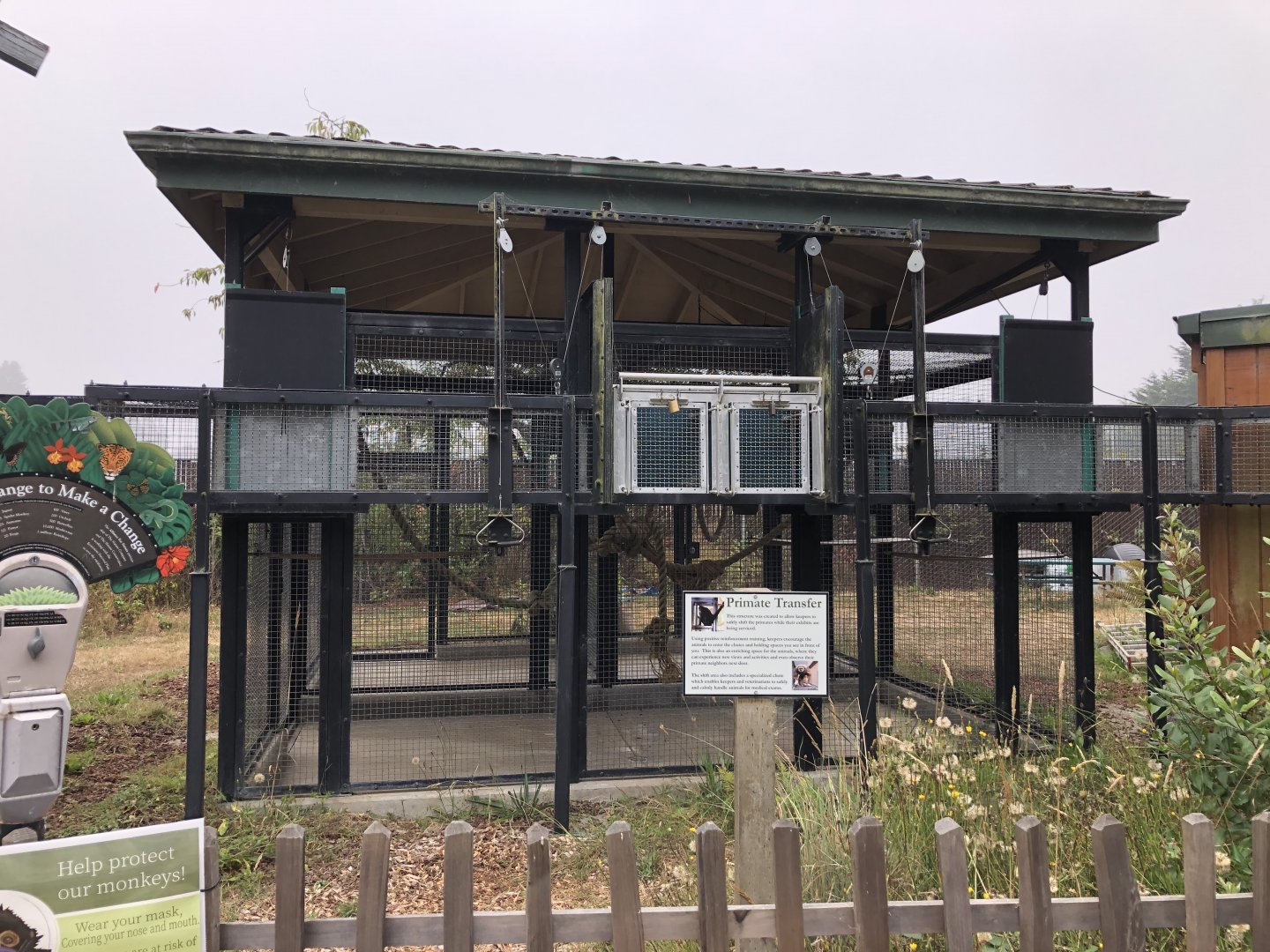Brown-headed spider monkey transfer chute