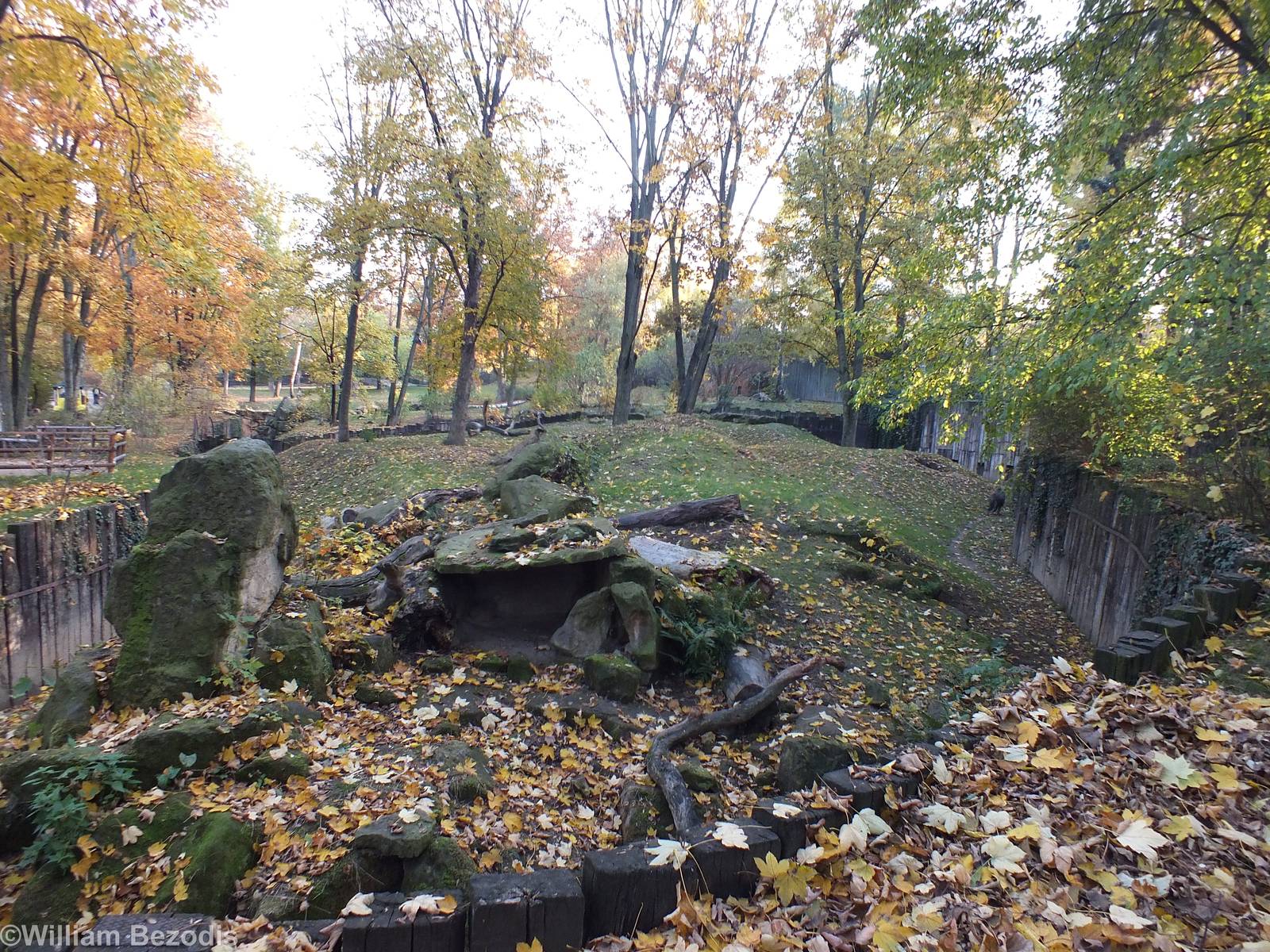 Brown Hyaena Enclosures