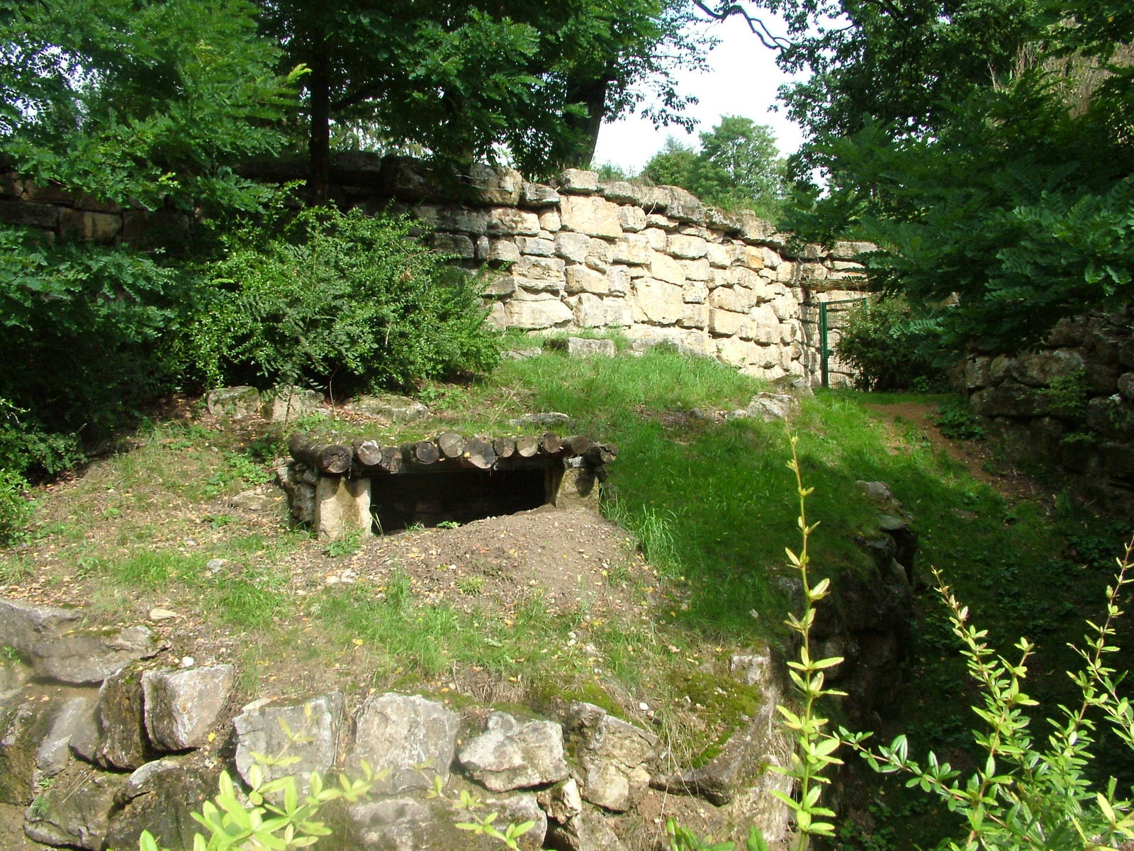 Brown Hyaena Exhibit at Opel-Zoo Kronberg, 30/08/10