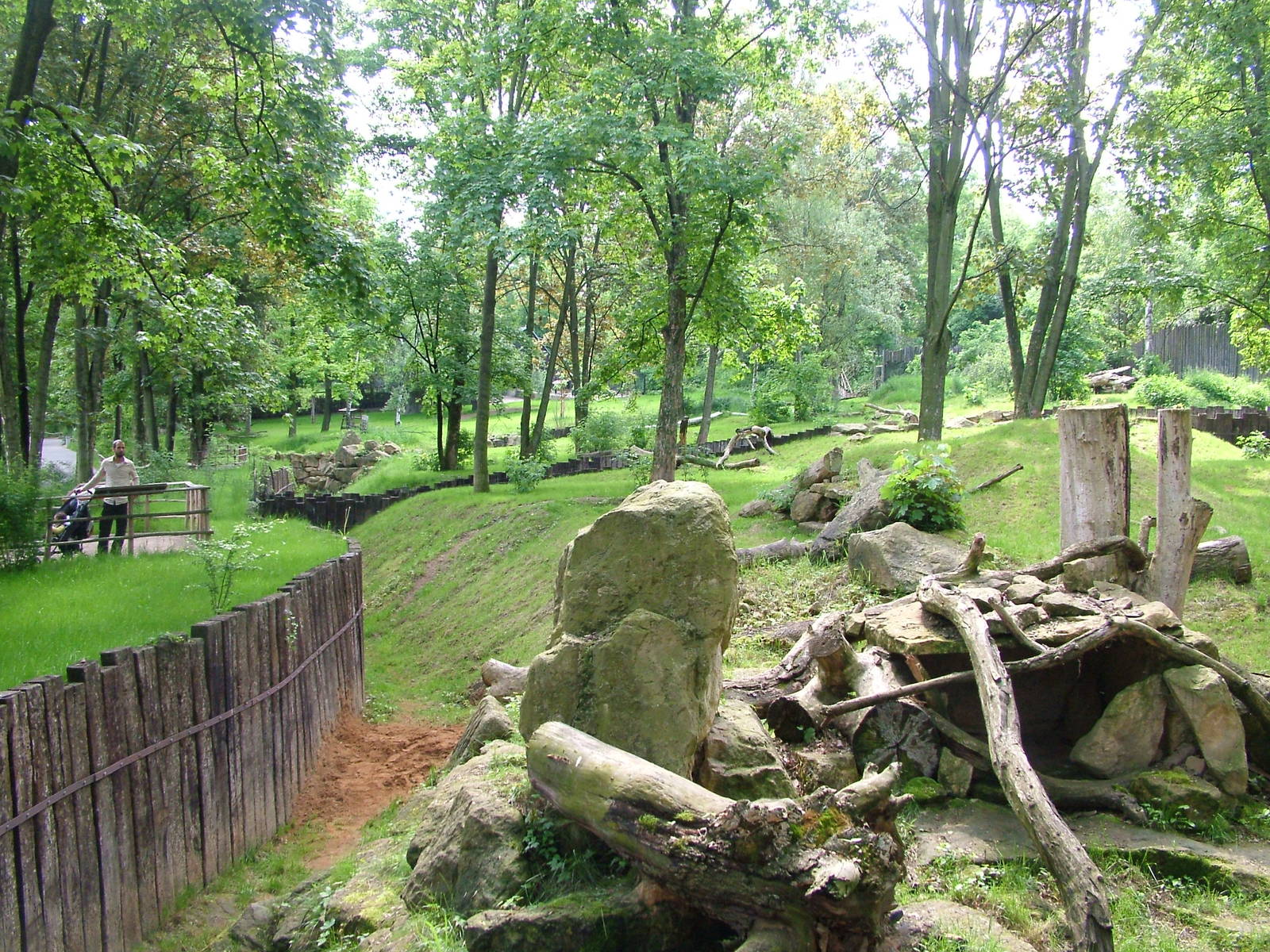 Brown Hyaena exhibit at Prague, 24/05/10