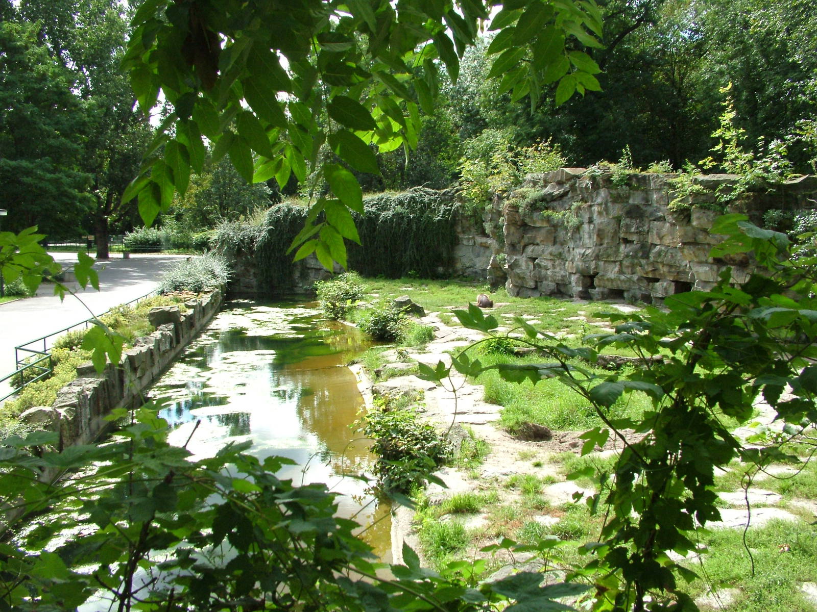 Brown Hyaena Exhibit at Tierpark Berlin, 30/08/11