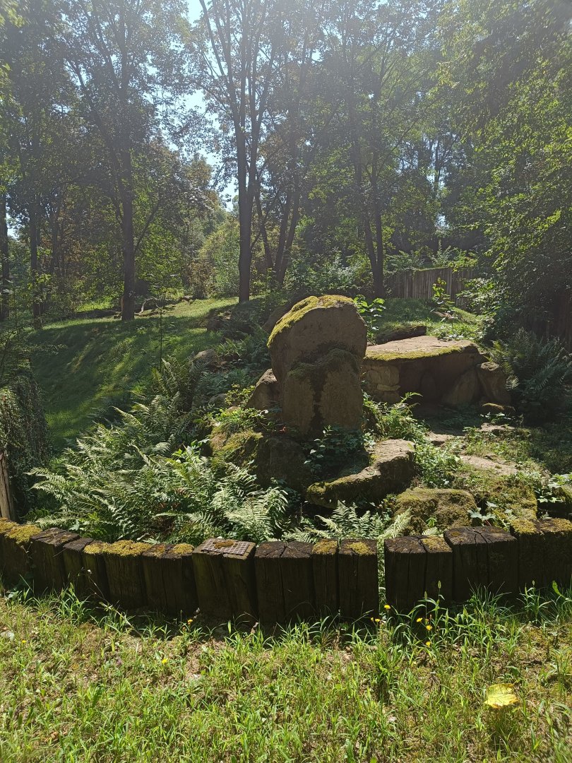 Brown Hyena enclosure - Across the Continents
