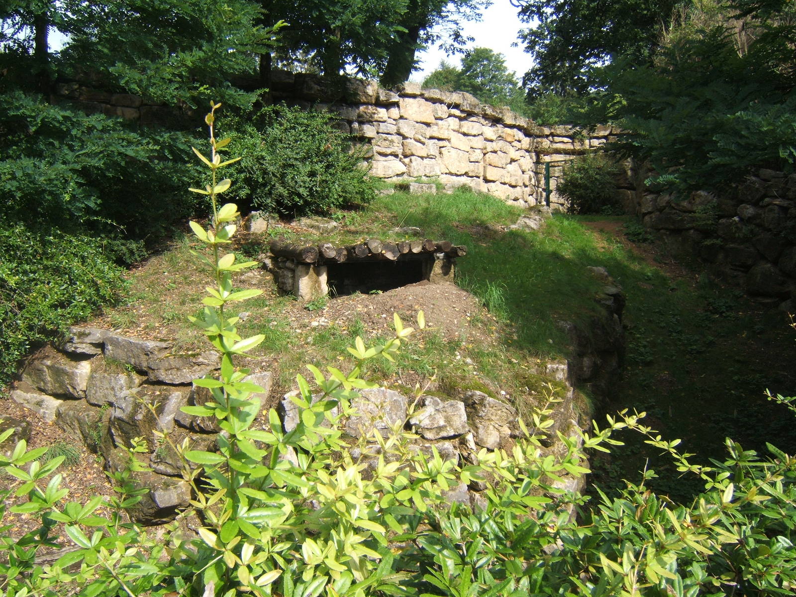 Brown Hyena enclosure
