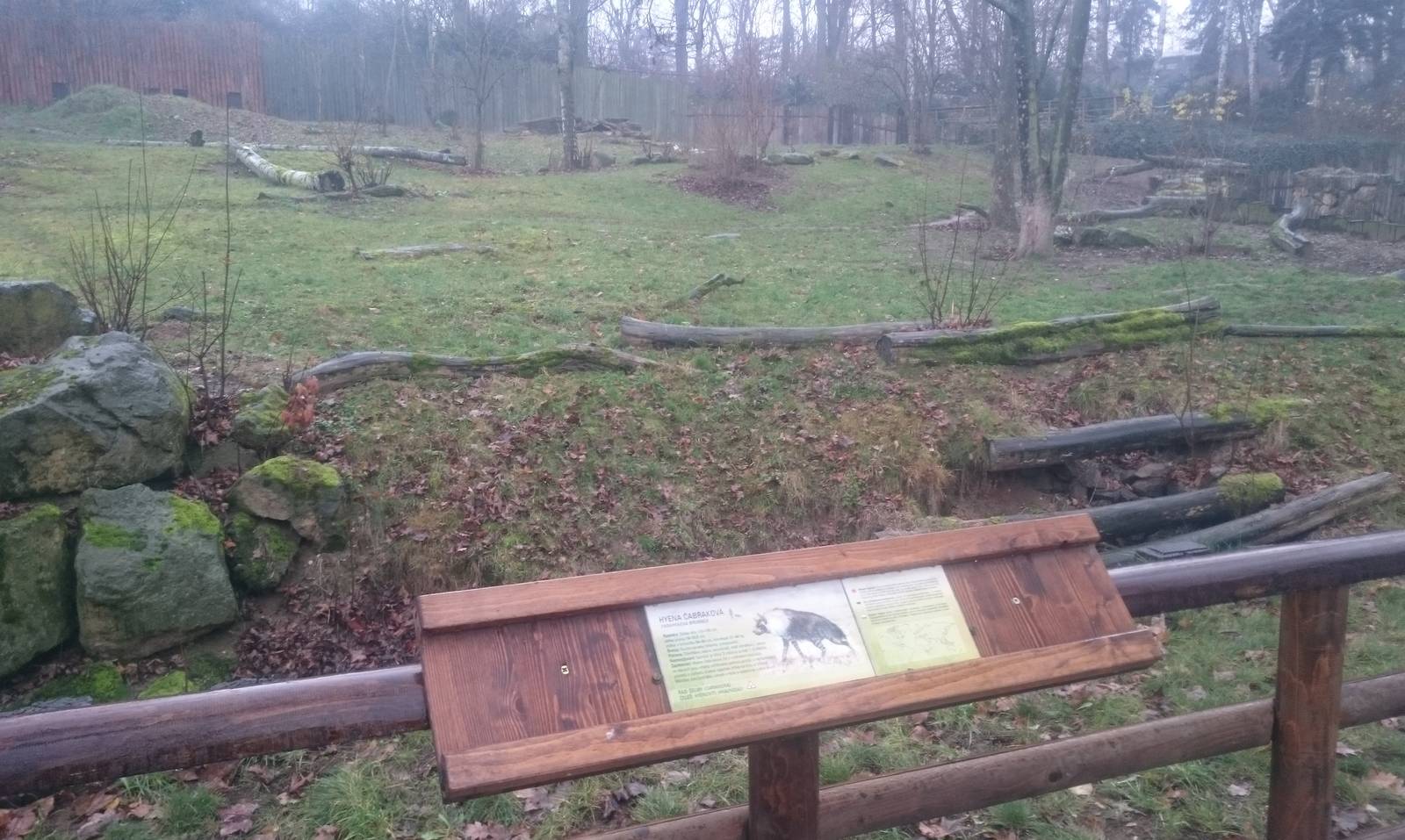 Brown hyena enclosure