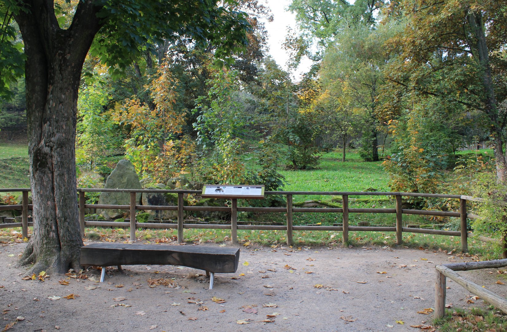 Brown hyena enclosure