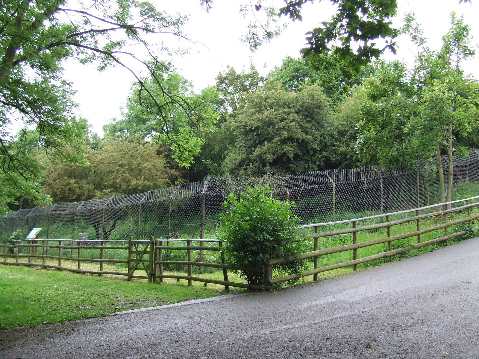 Brown Hyena enclosure