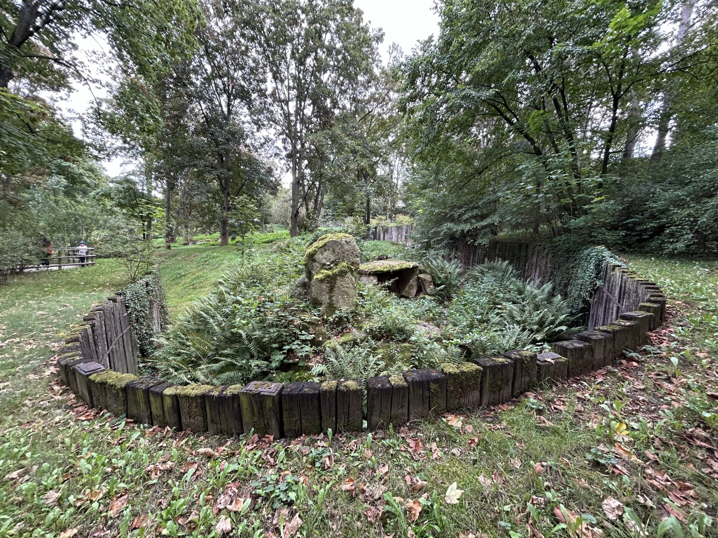 Brown Hyena Exhibit #1