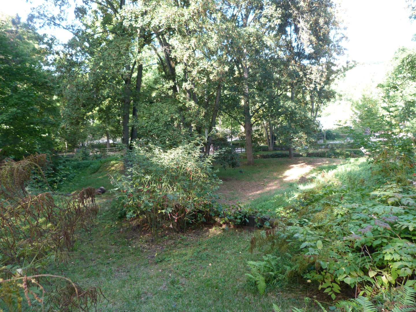 Brown hyena exhibit -Zoo Praha (2025)